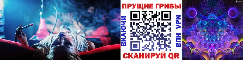 Псилоцибиновые грибы GOLDEN TEACHER  закладки  Пласт 